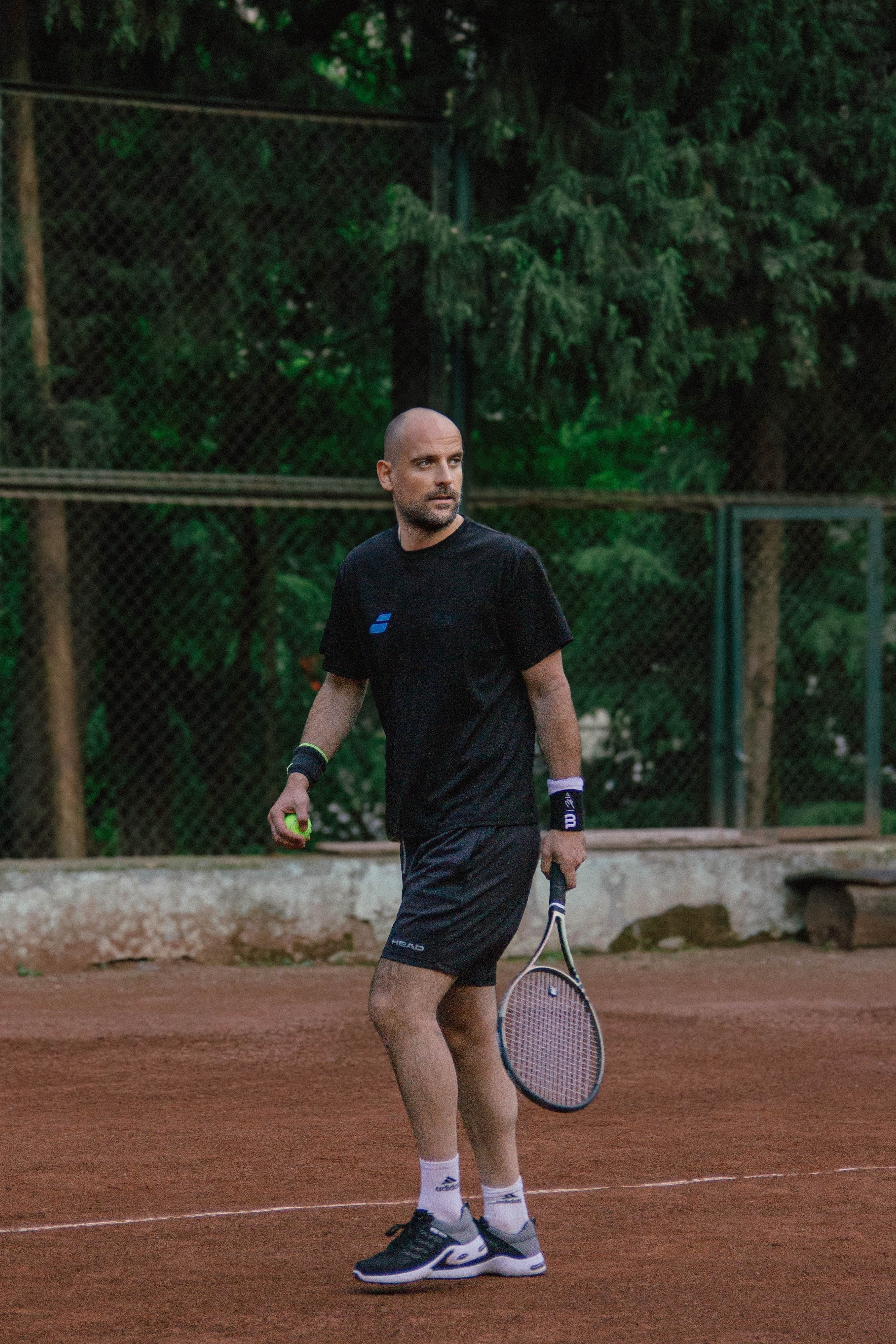 Shako Sikharulidze avatar